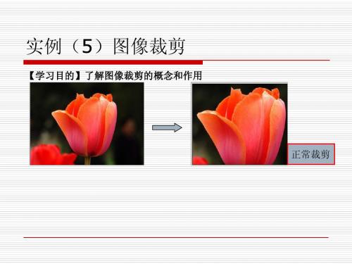 实例(5)图像裁切