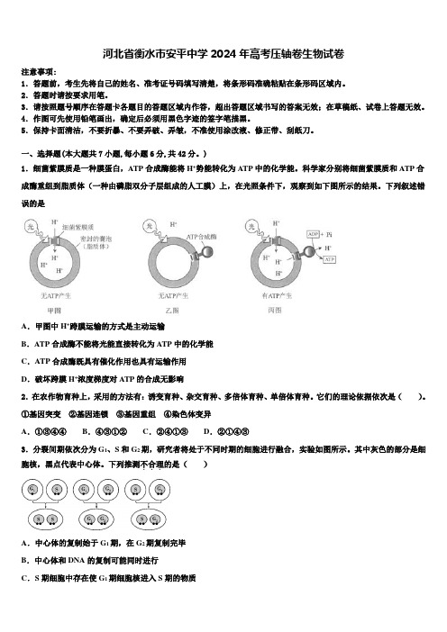 河北省衡水市安平中学2024年高考压轴卷生物试卷含解析