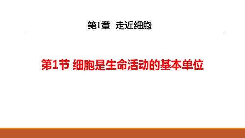 人教版(2019)高中生物必修一第1章 第1节 细胞是生命活动的基本单位(33张PPT)