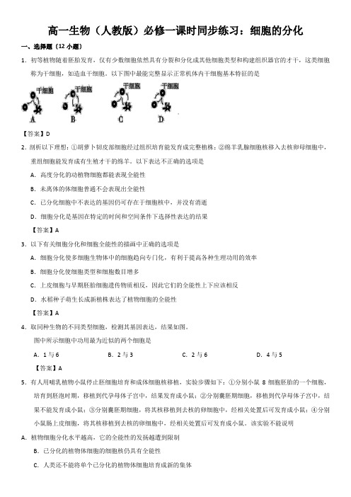 高一生物(人教版)必修一课时同步练习：细胞的分化