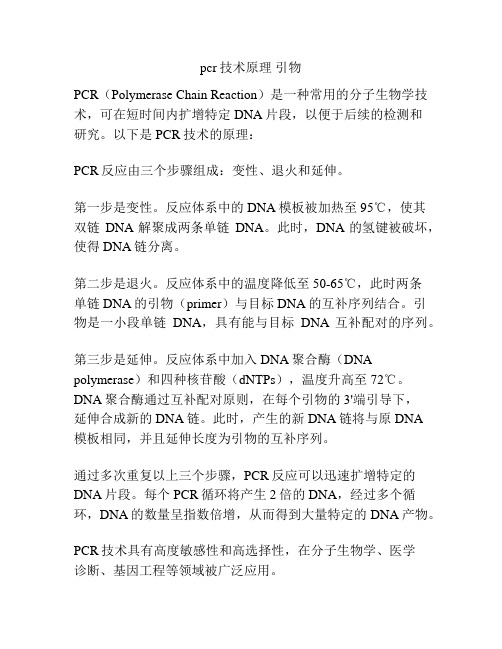 pcr技术原理 引物