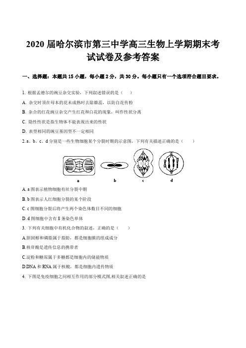 2020届哈尔滨市第三中学高三生物上学期期末考试试卷及参考答案