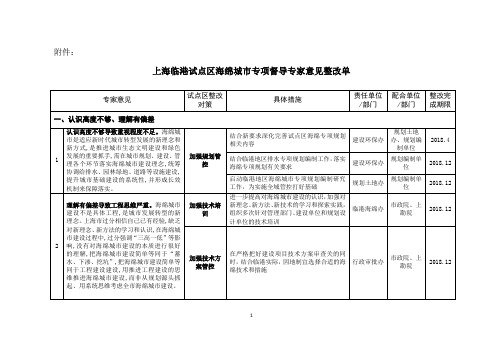 上海临港试点区海绵城专项督导专家意见整改单