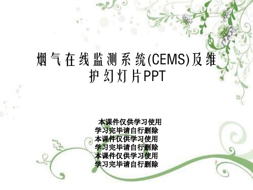 烟气在线监测系统(CEMS)及维护幻灯片PPT