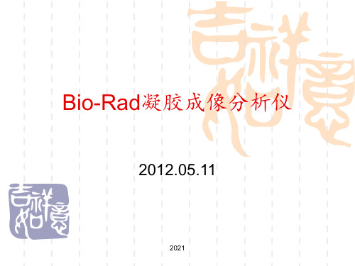 Bio-Rad凝胶成像分析仪PPT课件