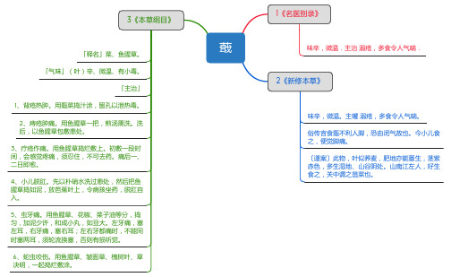 蕺_思维导图_中药学_药材来源详解