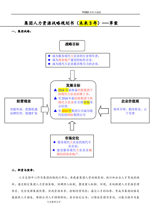 集团人力资源战略3年规划书[草案]