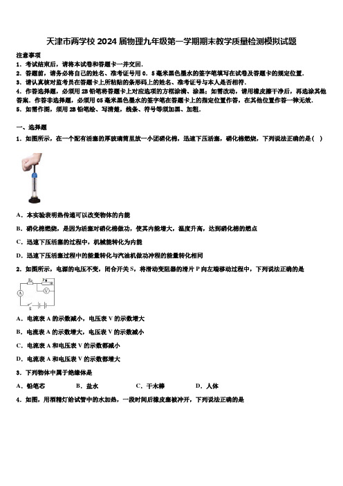 天津市两学校2024届物理九年级第一学期期末教学质量检测模拟试题含解析