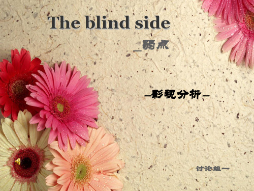影片弱点影评分析.ppt