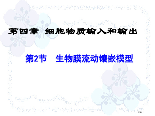 生物必修一生物膜的流动镶嵌模型省公开课金奖全国赛课一等奖微课获奖PPT课件