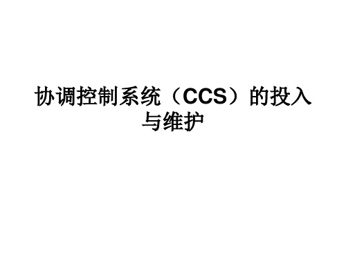 协调控制系统(CCS)的测试与维护