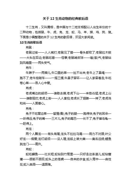 关于12生肖动物的经典歇后语