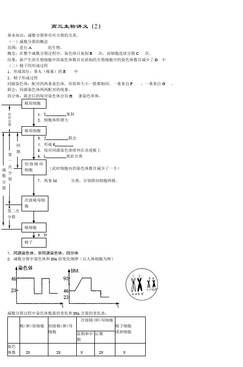 高三生物讲义(5)