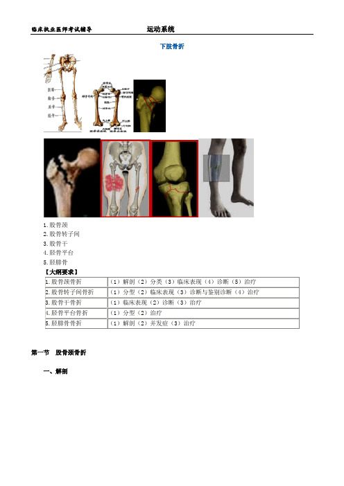 临床执业-运动系统讲义0301