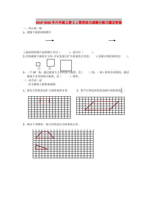 2019-2020年六年级上册5.1图形放大或缩小练习题及答案