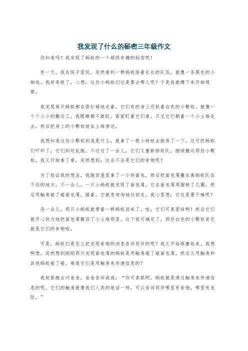 我发现了什么的秘密三年级作文