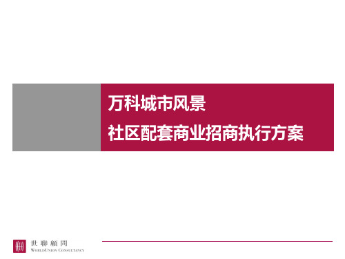 世联万科城市风景社区配套商业招商 ppt课件