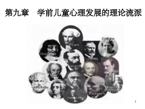 学前儿童心理发展的理论流派ppt课件