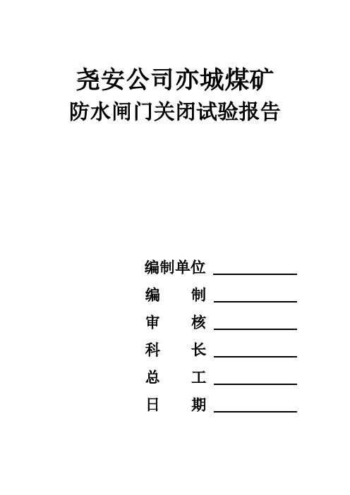 防水闸门关闭试验报告