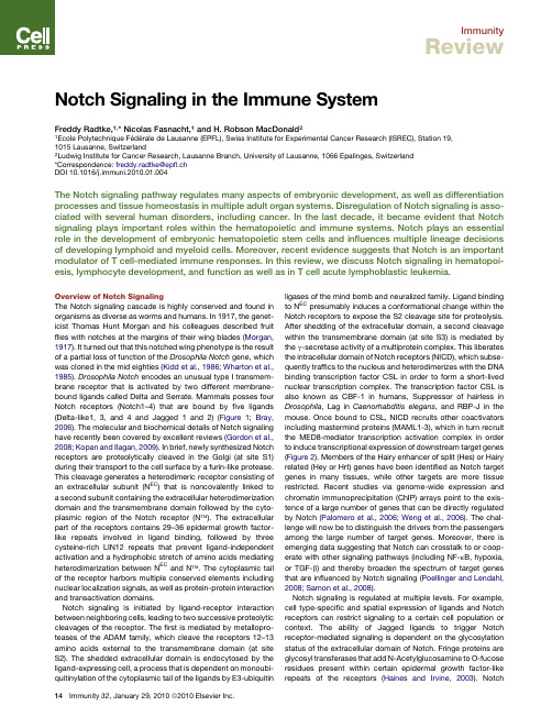 Notch Signaling in the Immune System