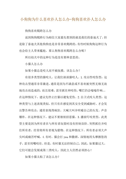 小狗狗为什么喜欢扑人怎么办-狗狗喜欢扑人怎么办