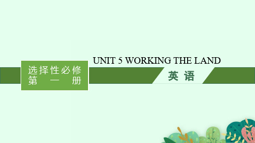 高考英语一轮总复习 选择性必修第一册 UNIT 5 WORKING THE LAND