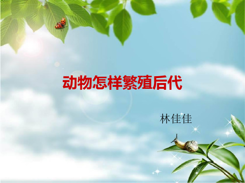 小学科学五年级下册2动物怎样繁殖后代PPT课件
