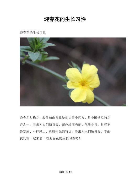 迎春花的生长习性