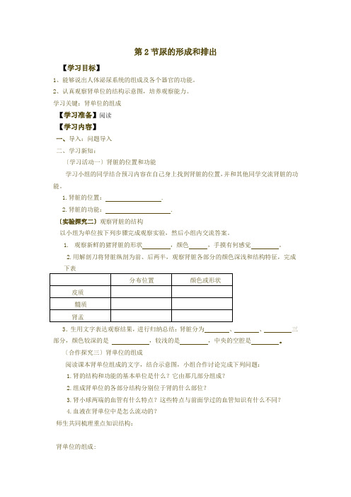 北师大版七年级生物下册11.2《尿的形成和排出》导学案