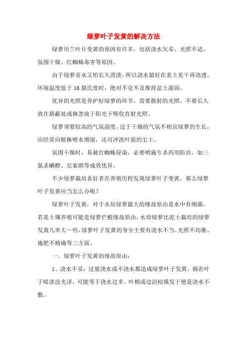 绿萝叶子发黄的解决方法