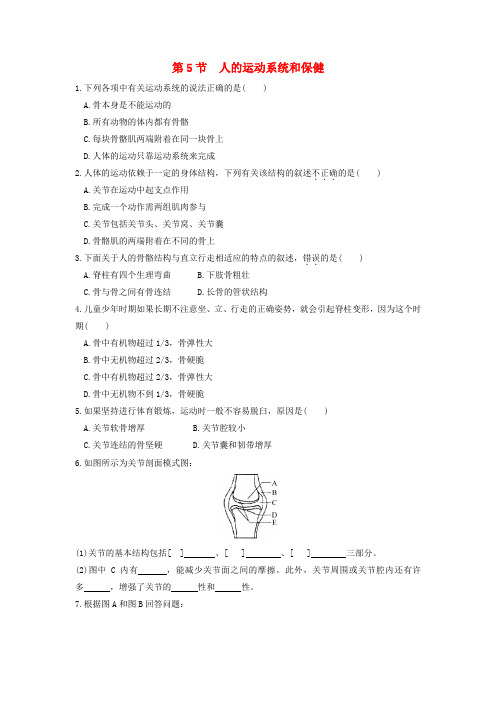 九年级科学下册第3章人的健康第5节人的运动系统和保健作业设计(新版)浙教版