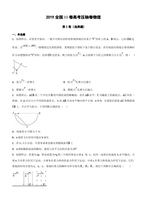  【全国卷Ⅱ】2019年高考终极压轴卷：物理试题(含答案解析)