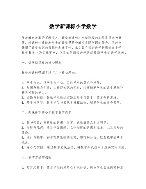 数学新课标小学数学