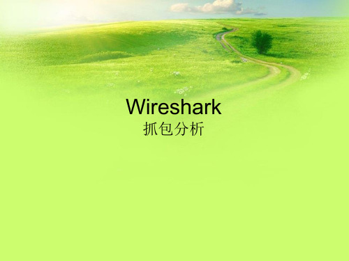 Wireshark抓包分析