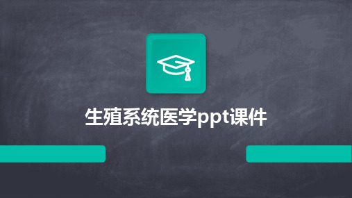 生殖系统医学ppt课件