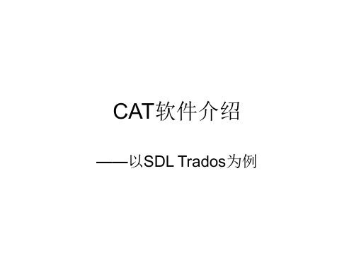 CAT软件介绍