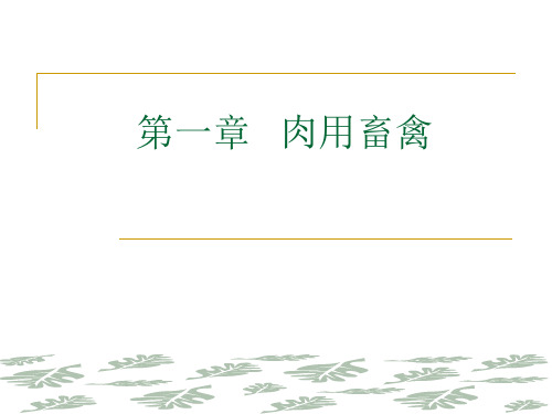 2019精品第一部分肉用畜禽化学