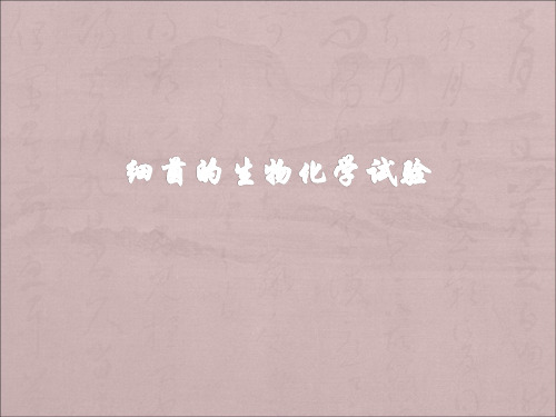 微生物生化反应