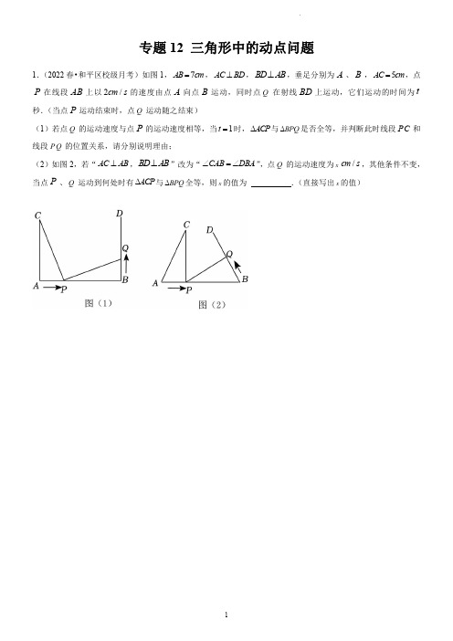 专题 三角形中的动点问题(强化题型)(学生版)