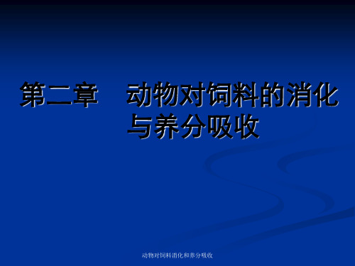 动物对饲料消化和养分吸收