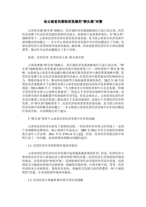 论云南省民营经济发展的“桥头堡”对策