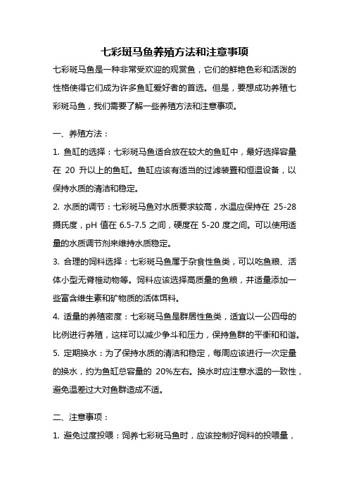 七彩斑马鱼养殖方法和注意事项