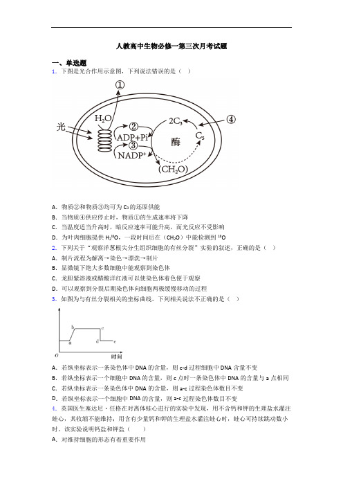 人教高中生物必修一第三次月考试题