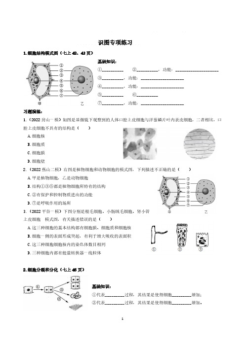 初中生物识图专项练习及答案