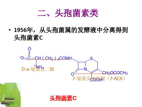 头孢菌素类抗生素