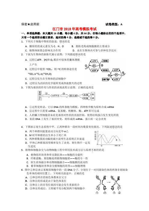 最新-广东省江门市2018年高考生物模拟考试 精品