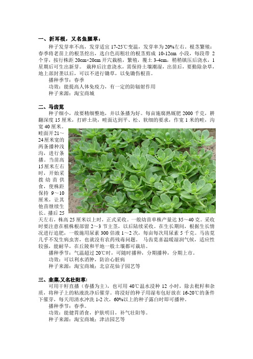 部分野菜种植品种及功用