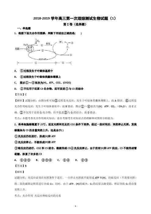 2018-2019学年高三理综测试生物试题(共4套)