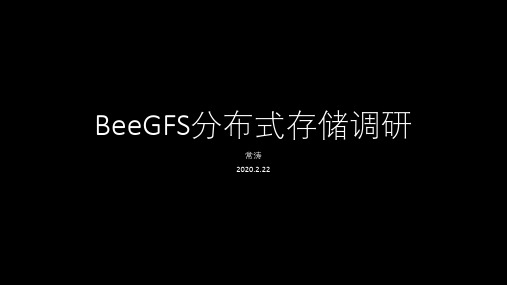 BeeGFS