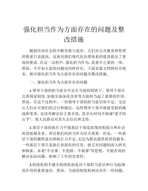 强化担当作为方面存在的问题及整改措施